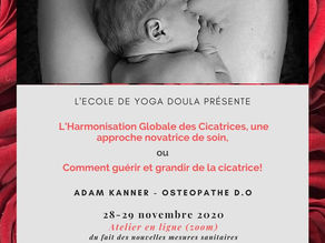 Harmonisation globale des cicatrices par l'École de yoga Doula