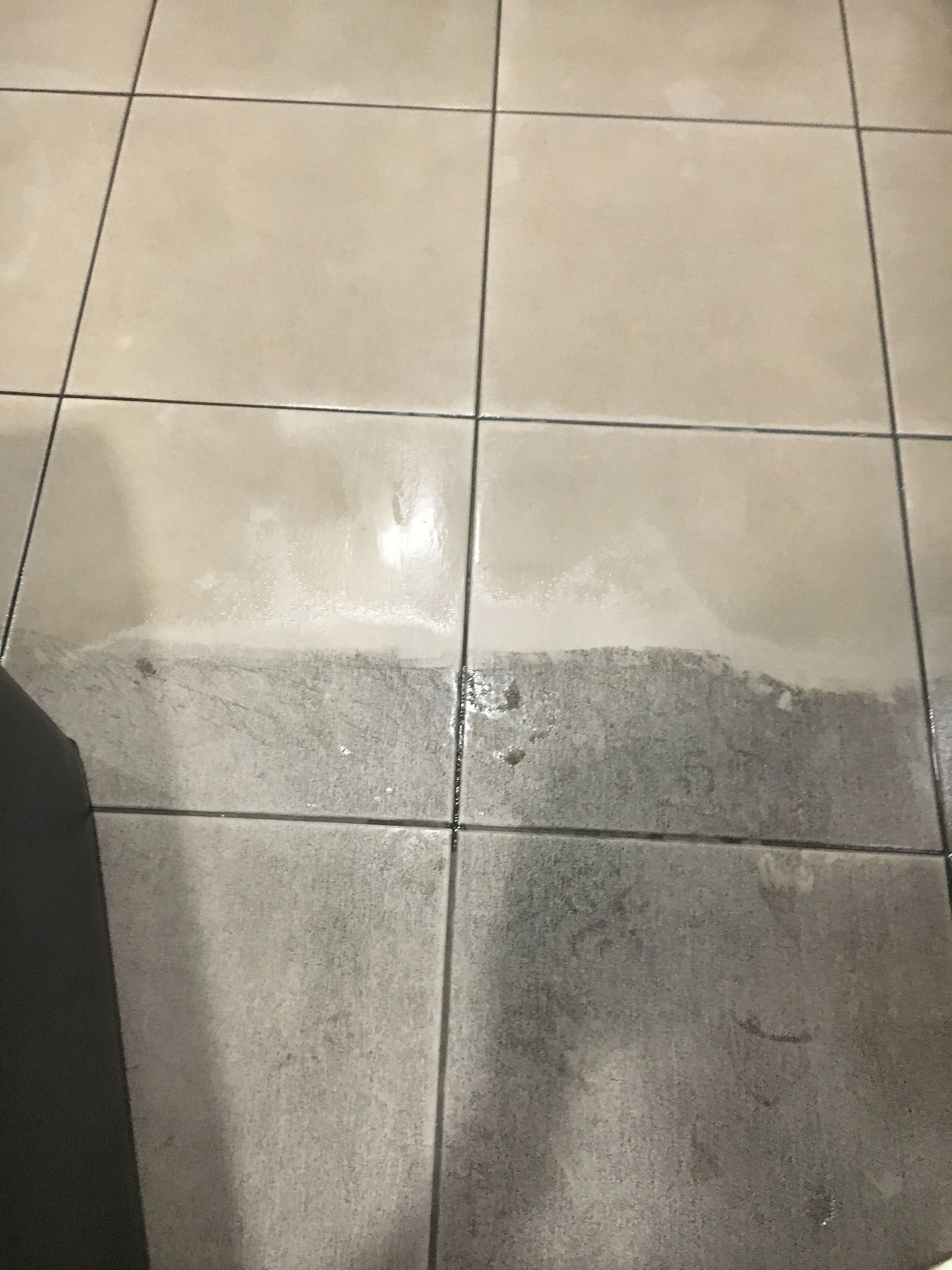 tile cleaning 2