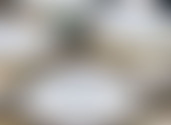 Should Pole Dancing be in the Olympics?