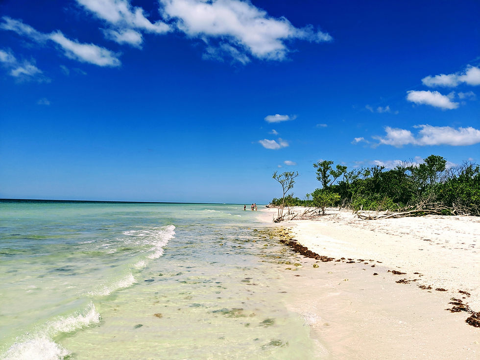 Honeymoon Island State Park