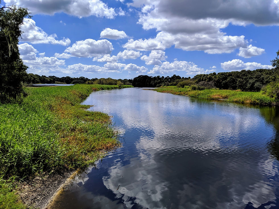 Myakka River State Park