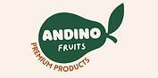 Andino.png