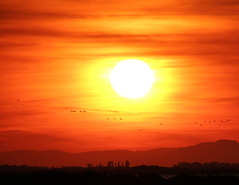 Sunset in the Camargue nature safari