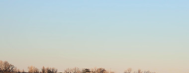 Camargue rice paddy landscape, Arles safari