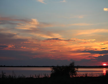 Étang de Camargue au coucher de soleil lors d’un safari