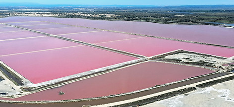 Camargue salt marshes, pink waters, landscape