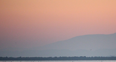 Camargue Pond and Wild Landscape