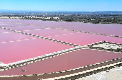 Salins de Camargue aux eaux roses lors d’un safari nature