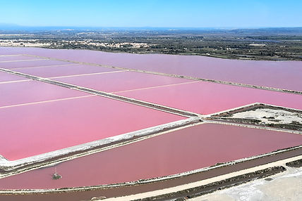 Salins de Camargue avec eaux roses lors d’un safari en 4x4 électrique