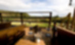 Brig y bryn verandah