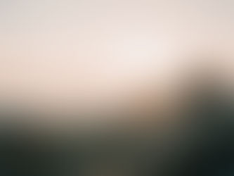 Mormonism and the Death of Curiosity