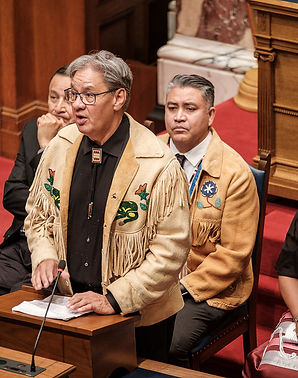 LAIA indigenous Title.jpg