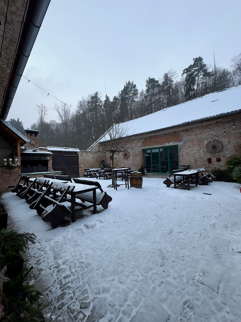 Jídelní lístek 6.-8.2.2026