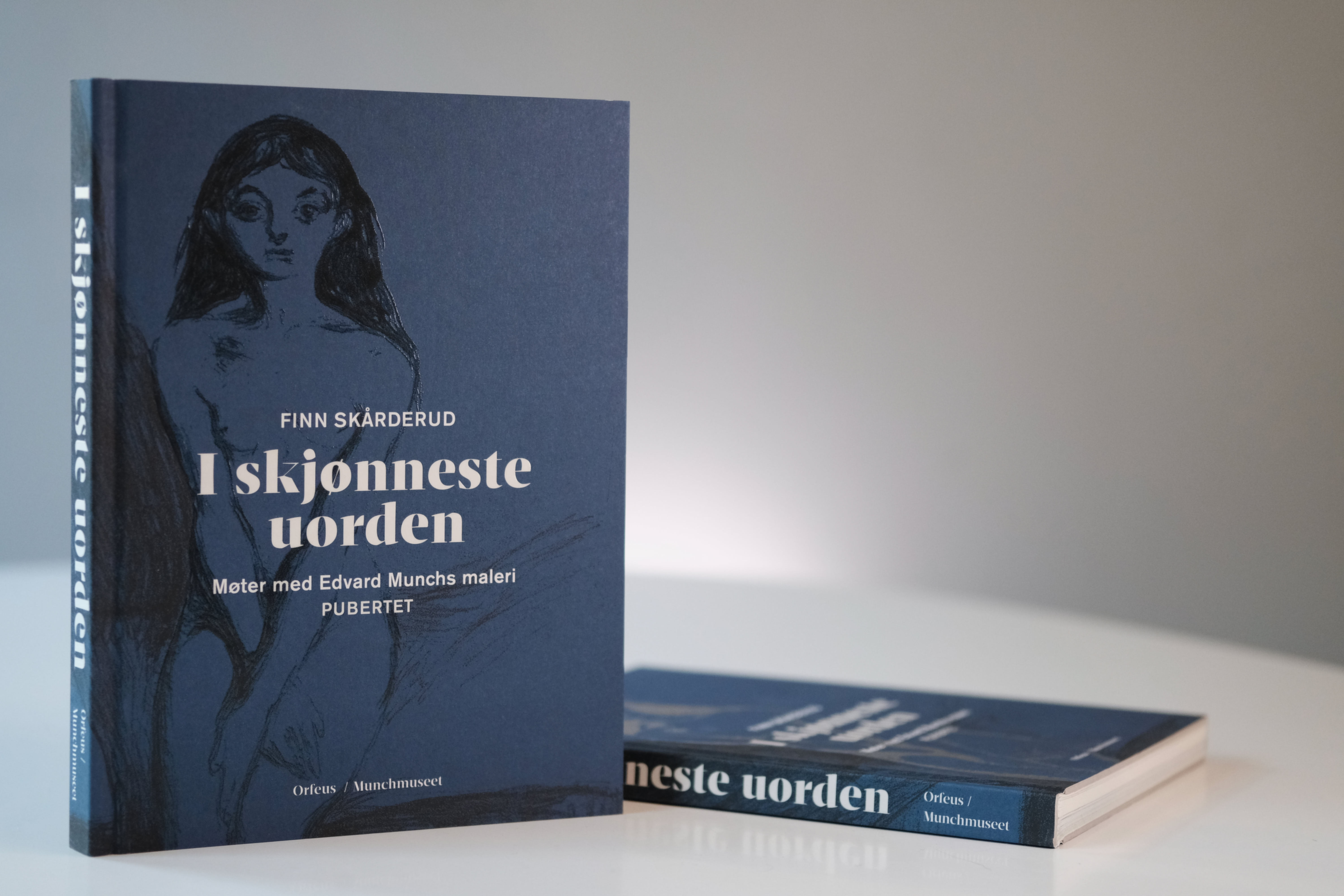 I skjønneste uorden - møter med Edvard Munchs maleri Pubertet