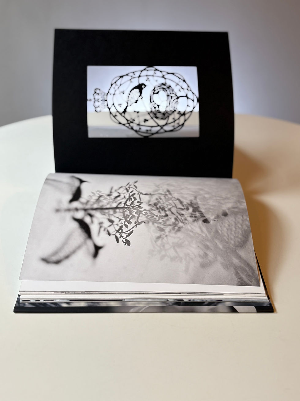 Thumbnail: Karen Bit Vejle - Master of paper-cut