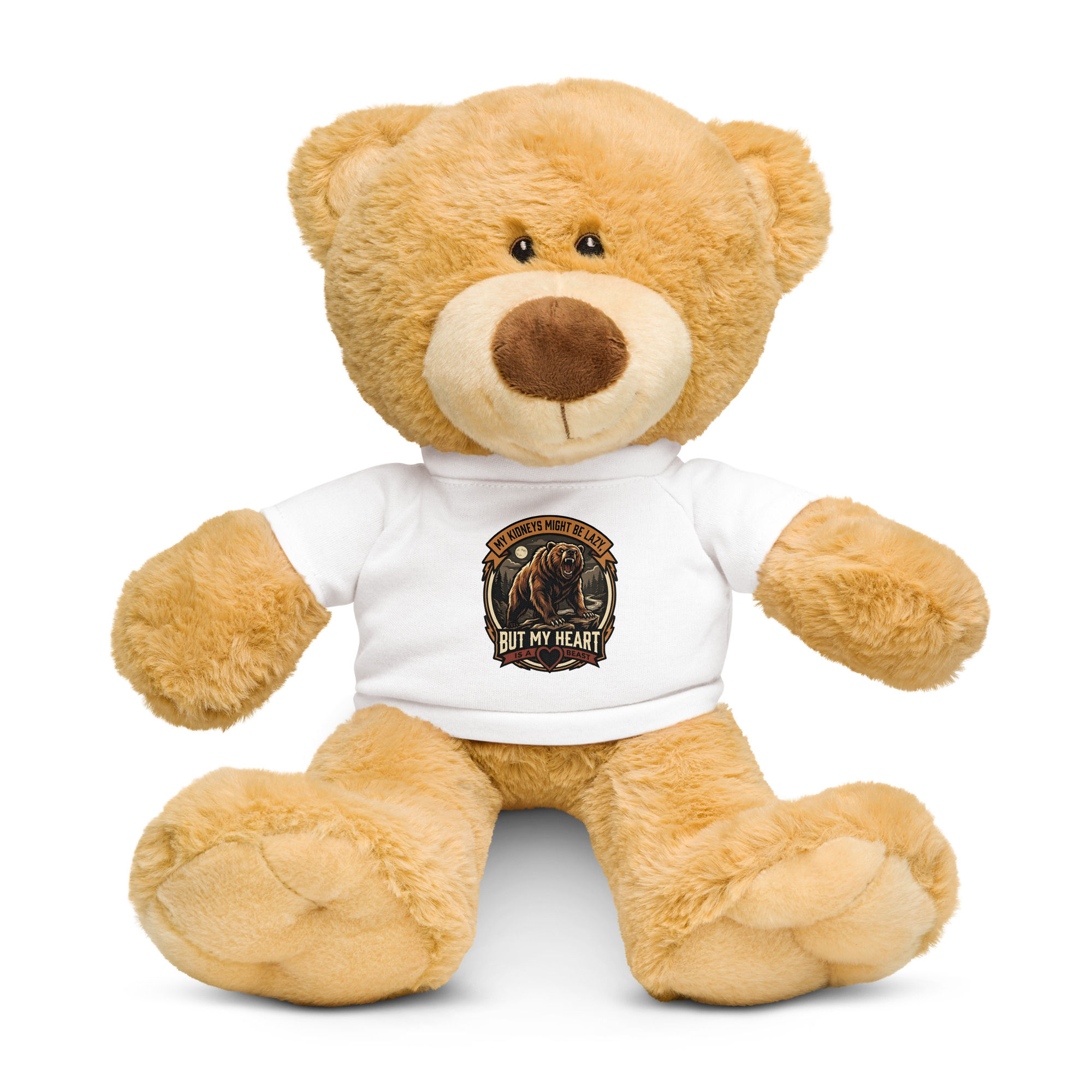 lazy kidney Teddy bear with a t-shirt