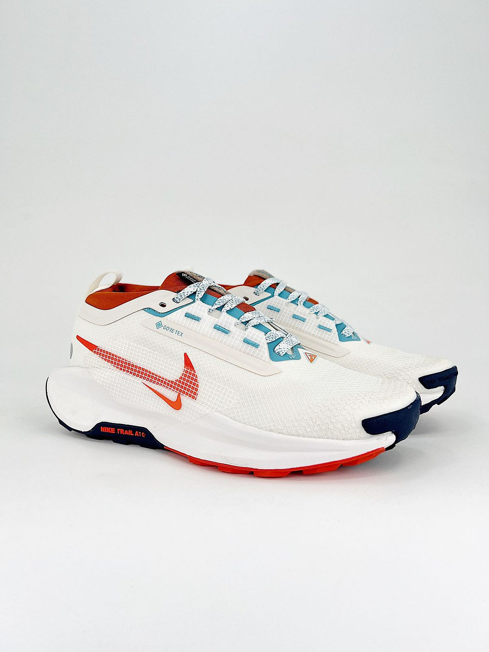 Miniatura: Nike PEGASUS TRAIL 5 GTX CS43