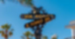 A close-up of a black pole with two large plates displaying the words “Rodeo Drive” with palm trees in the background.