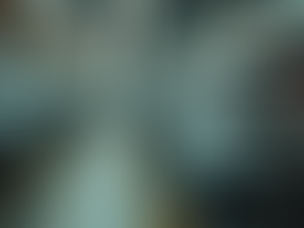 The Decline of American Automakers: Profit Over Quality and Craftsmanship