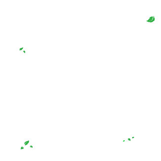 Tree Fish_Tree Service Near Me_Grand Rapids MI_Column Background 1.jpg
