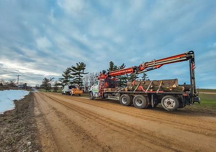 Tree Fish_Tree Service Near Me_Grand Rapids MI-48.jpg