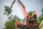 A Grand Rapids tree service removing a tree with a crane