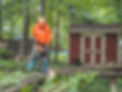 Tree Fish_Tree Service Near Me_Grand Rapids MI-23.jpg