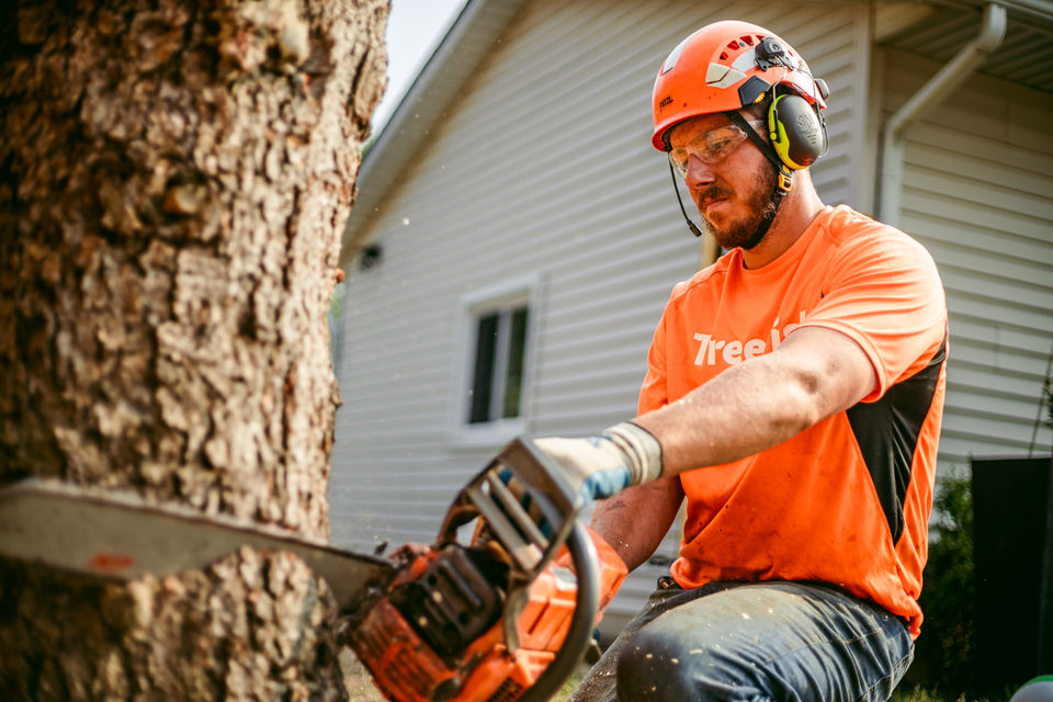 Tree Fish_Tree Service Near Me_Grand Rapids-113.jpg