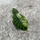 Miniaturbild: Alocasia Dragon Scale Mint