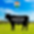 India Cattle 1 Portion