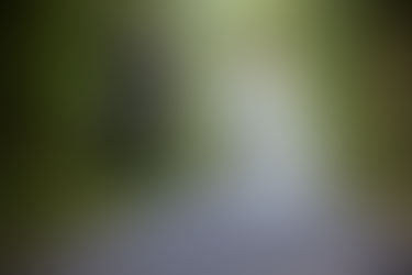Hochzeitsfotos, Hochzeit Forsthaus Sommerswalde, Brautpaarfotos