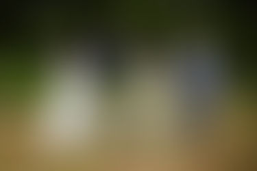 Hochzeitsfotograf Hitzacker Elbe, Familienfotos