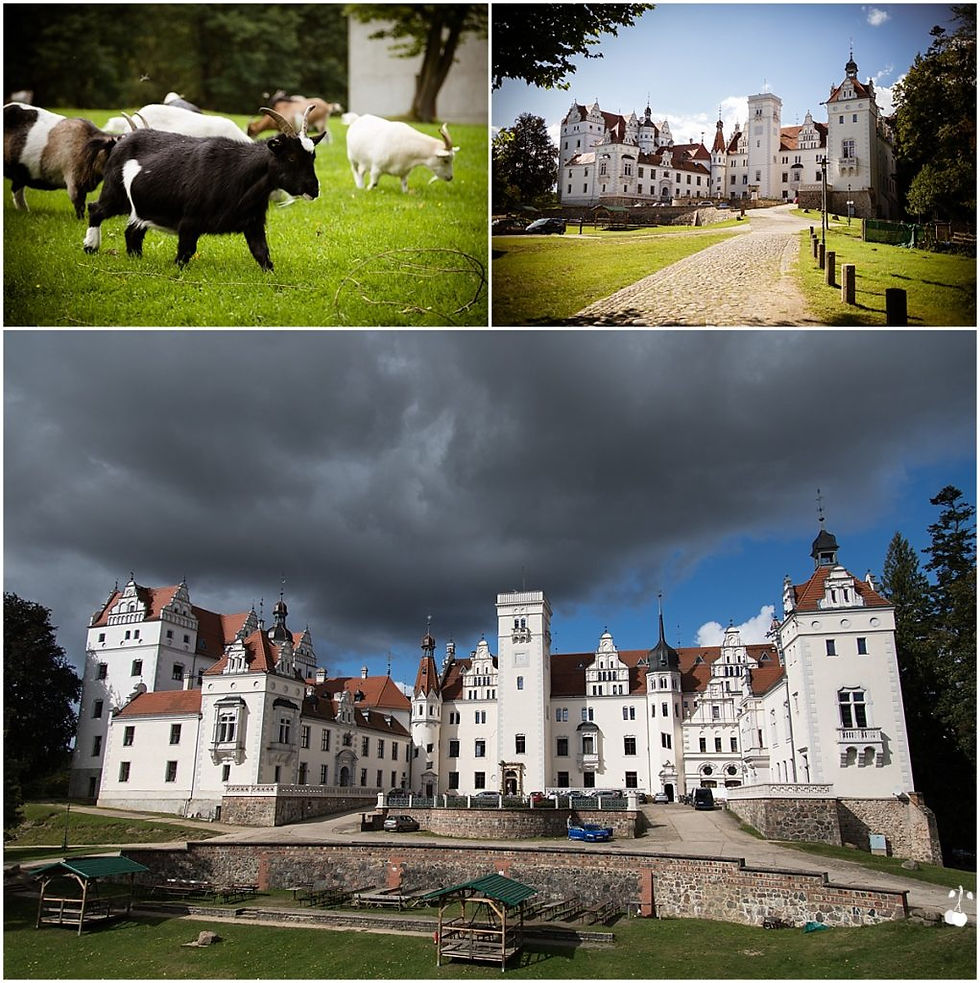 Hochzeit auf Schloss Boitzenburg