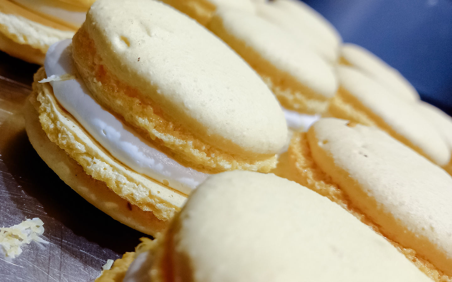 Torten Cupcakes Konditor Macarons marmelo manufaktur brandenburg
