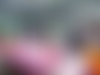 Local para patinar! Curitiba e região!