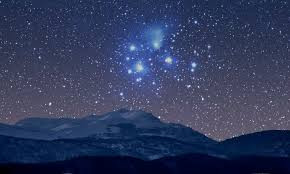 Matariki - The Arts Mid Term Experience