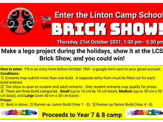 The Great LInton Camp School Brick Show!!!!