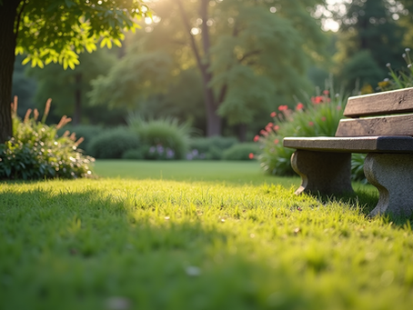 Navigating the Complexities of Estate Planning