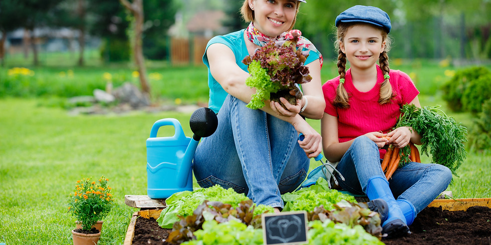 Reserve a Winter Garden Tray of Plants (2)