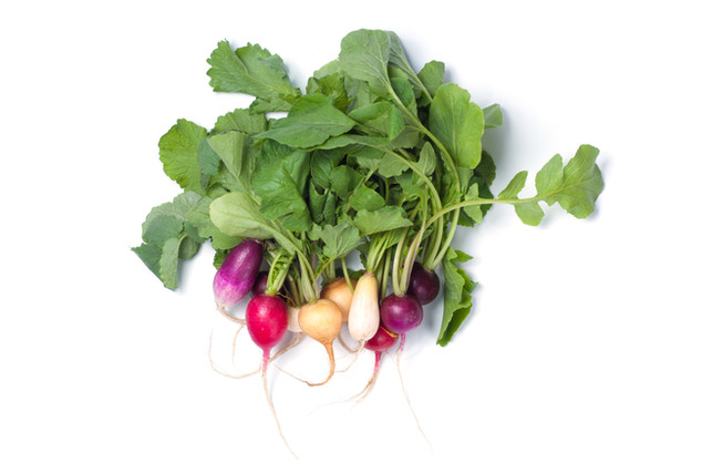 How To Grow Radishes