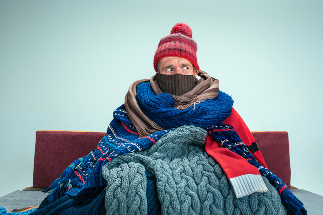 Our February Arctic Blast