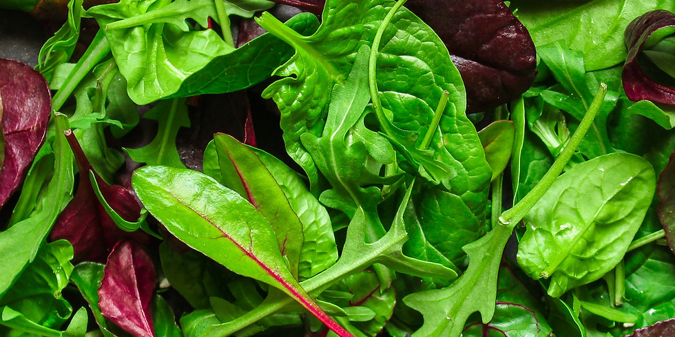 Fresh Picked Sparkl'n Salad Mix- BIG BAG- Serves 5