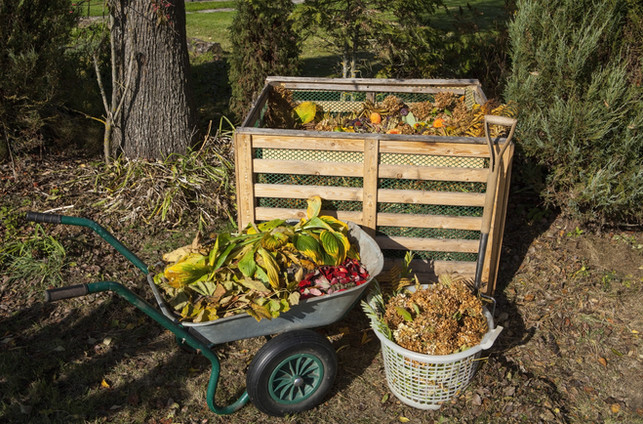 Composting 101