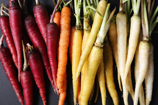 Growing Colorful Carrots in Containers