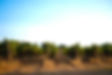DSCF8858.jpg