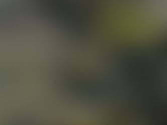 En eski ayak izi 345 bin yıllık