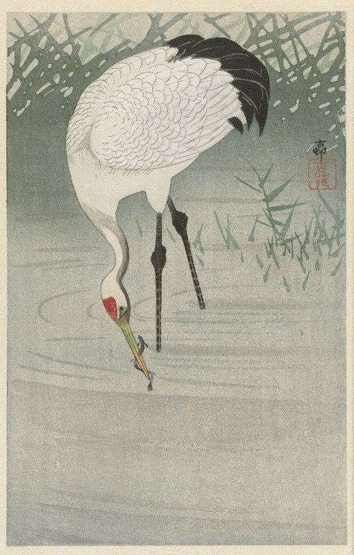 Fishing crane in shallow water / Ohara Koson