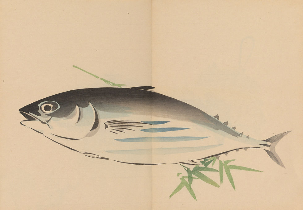 Zeshin iboku tairyūkyo gafu, Pl.05 / Shibata Zeshin