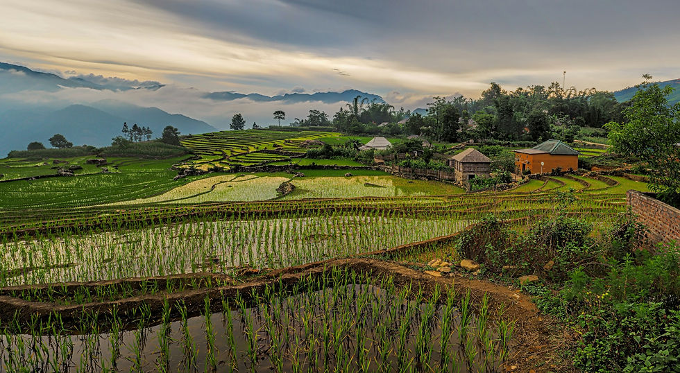 Vietnamese scenery to enjoy on the bus to Laos
