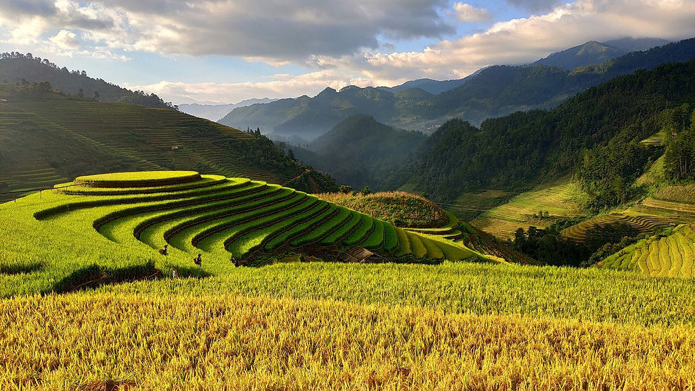 Bright green terraced rice fields stretch across hills under a cloudy sky, with mountains in the distance. A few people walk on the terraces.